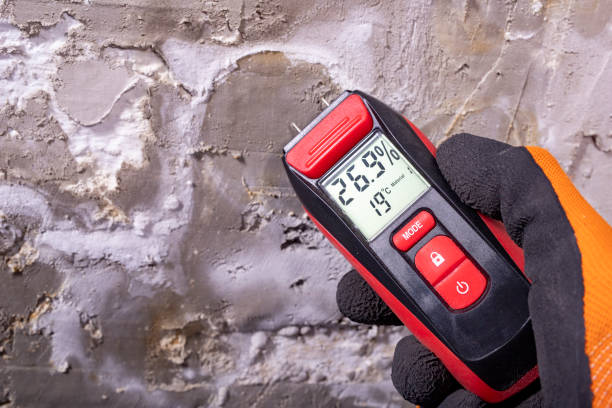 Mold Removal Process in Lake Lure, NC