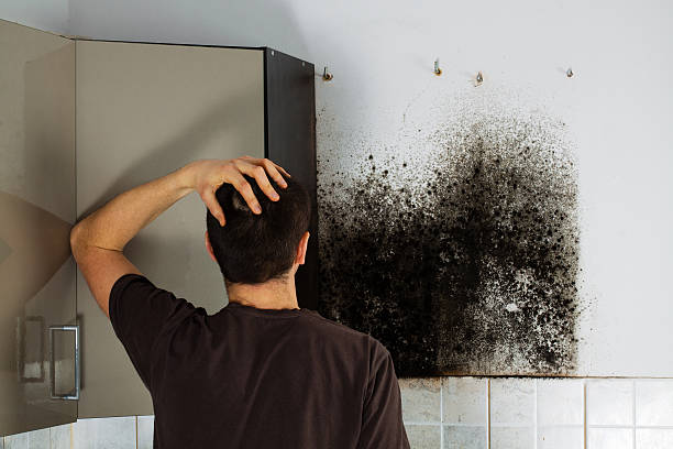 Best Office Mold Removal Services  in Lake Lure, NC